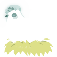 A white chicken with a lace pattern