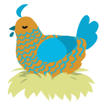Poolside, a orange and cerulean chicken with a lace pattern
