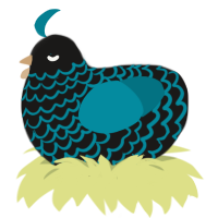 (unnamed), a sable and sea chicken with a lace pattern