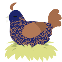 A navy and brown chicken with a double-lace pattern