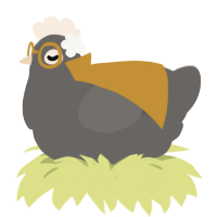 Rock, a grey chicken