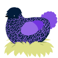 drift, a tumblr and blurple chicken with a double-lace pattern