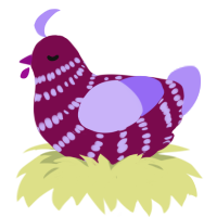A wine and lilac chicken with a bar pattern