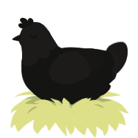 (unnamed), a black and sable chicken with a head pattern
