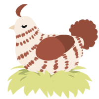 Coconut Treat, a cream and russet chicken with a bar pattern