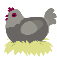 Simple Pigeon, a grey and ash chicken with a head pattern