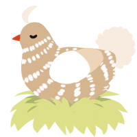 Pastry, a beige and cream chicken with a bar pattern