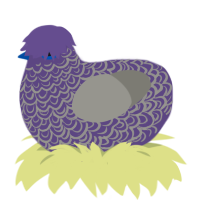 A overcast and ash chicken with a double-lace pattern
