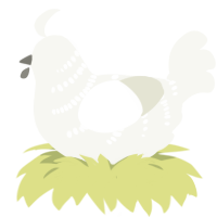 Blanc, a white chicken with a half-bar pattern