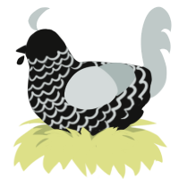 x4 Mods to Black, a black and silver chicken with a lace pattern