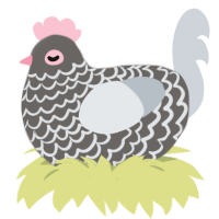 Missionary, a grey and mist chicken with a lace pattern