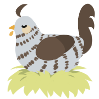 A mist and bark chicken with a bar pattern