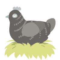 A grey and ash chicken with a half-bar pattern