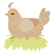 (unnamed), a beige chicken with a half-lace pattern