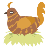 A brown and orange chicken with a bar pattern