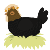A black and sable chicken with a lace pattern