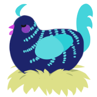 (unnamed), a navy and aqua chicken with a half-bar pattern