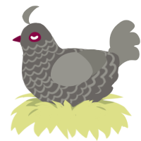 Pigeon4, a grey and ash chicken with a lace pattern