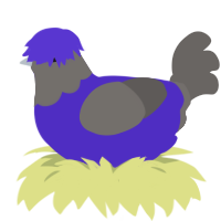 A indigo and grey chicken with a head pattern