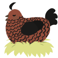 A russet and sable chicken with a lace pattern