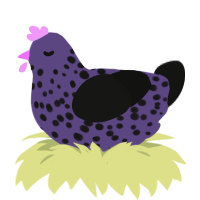 (unnamed), a overcast and black chicken with a speckle pattern