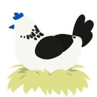 A white and sable chicken with a neck-speckle pattern