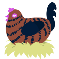 brownie, a russet and tumblr chicken with a bar pattern