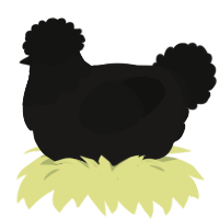 A sable and black chicken with a head pattern
