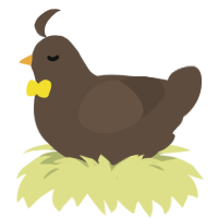Yummi, a bark chicken