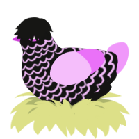 emo, a black and lavender chicken with a lace pattern