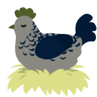 Earth, a ash and tumblr chicken with a half-lace pattern