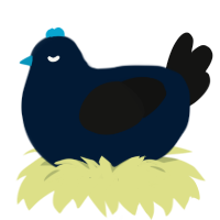 A tumblr and black chicken