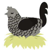 (unnamed), a ash and sable chicken with a lace pattern