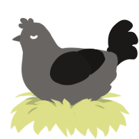 A grey and sable chicken