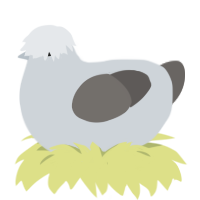 the fog-, a mist and grey chicken