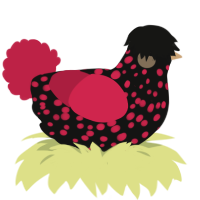 Walter, a black and crimson chicken with a speckle pattern