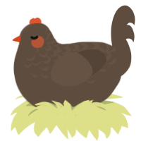 Day after hot wings, a bark chicken with a half-lace pattern