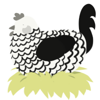 (unnamed), a white and black chicken with a lace pattern