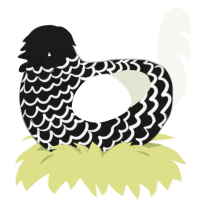 (unnamed), a sable and white chicken with a lace pattern