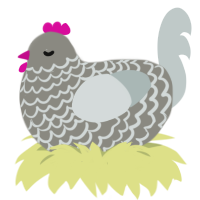 (unnamed), a ash and silver chicken with a lace pattern