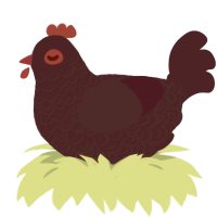 Crowley, a tumblr chicken with a double-lace pattern