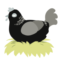 noir, a black and ash chicken with a neck-band pattern