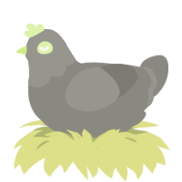(unnamed), a ash chicken with a head pattern