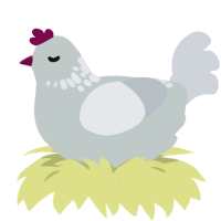 Dione, a silver and mist chicken with a neck-speckle pattern