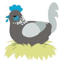 A grey and silver chicken with a neck-speckle pattern