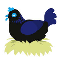 (unnamed), a black and navy chicken with a neck-speckle pattern