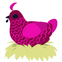 A maroon and fuchsia chicken with a lace pattern
