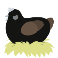 Licorice, a black and bark chicken