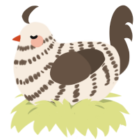 Saturn, a cream and bark chicken with a bar pattern