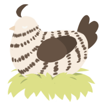 Cookies n cream, a cream and bark chicken with a bar pattern
